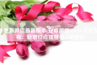 更新微信最新版本(安卓微信 8.0.23 正式发布：新增红点提醒等12项更新)