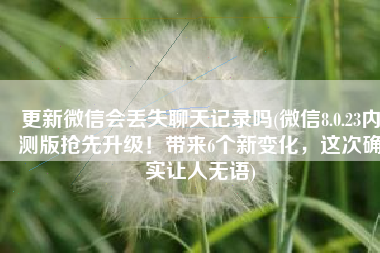 更新微信会丢失聊天记录吗(微信8.0.23内测版抢先升级！带来6个新变化，这次确实让人无语)