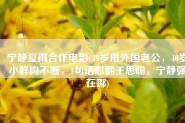 宁静夏雨合作电影(39岁甩外国老公，40岁小鲜肉不断，1句话怼翻王思聪，宁静强在哪)
