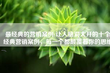 最经典的营销案例(让人脑洞大开的十个经典营销案例，每一个都颠覆着你的思维)