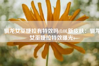 驯龙女巫婕拉有特效吗(LOL新皮肤：驯龙女巫婕拉特效曝光)