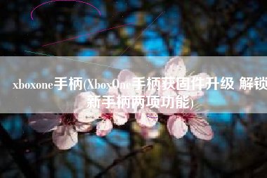 xboxone手柄(XboxOne手柄获固件升级 解锁新手柄两项功能)