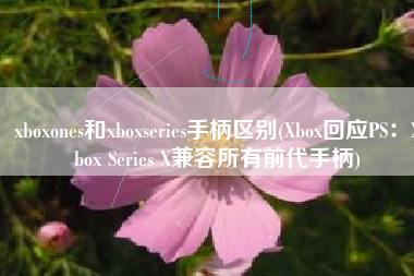 xboxones和xboxseries手柄区别(Xbox回应PS：Xbox Series X兼容所有前代手柄)