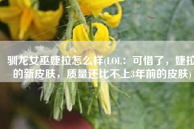 驯龙女巫婕拉怎么样(LOL：可惜了，婕拉的新皮肤，质量还比不上3年前的皮肤)