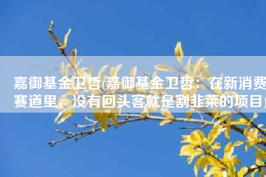 嘉御基金卫哲(嘉御基金卫哲：在新消费赛道里，没有回头客就是割韭菜的项目)