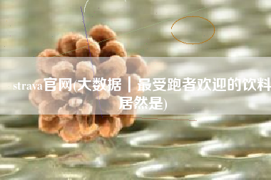 strava官网(大数据｜最受跑者欢迎的饮料居然是)