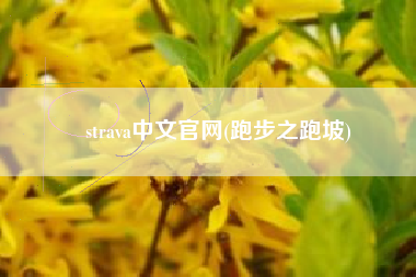 strava中文官网(跑步之跑坡)