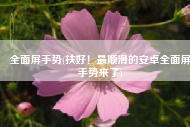 全面屏手势(扶好！最顺滑的安卓全面屏手势来了)