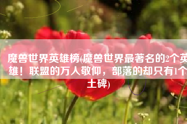 魔兽世界英雄榜(魔兽世界最著名的2个英雄！联盟的万人敬仰，部落的却只有1个土碑)