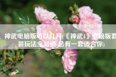 神武电脑版可以几开(《神武4》电脑版套装玩法全知道 总有一套适合你)