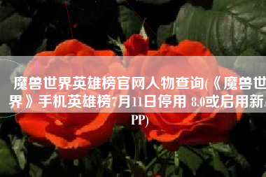 魔兽世界英雄榜官网人物查询(《魔兽世界》手机英雄榜7月11日停用 8.0或启用新APP)