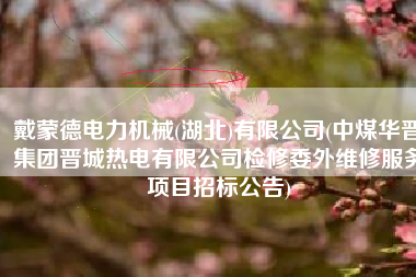 戴蒙德电力机械(湖北)有限公司(中煤华晋集团晋城热电有限公司检修委外维修服务项目招标公告)