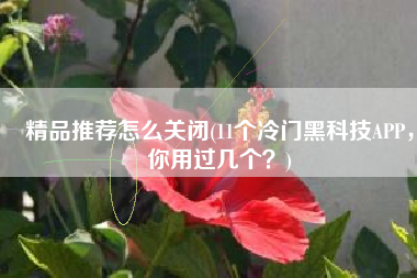 精品推荐怎么关闭(11个冷门黑科技APP，你用过几个？)
