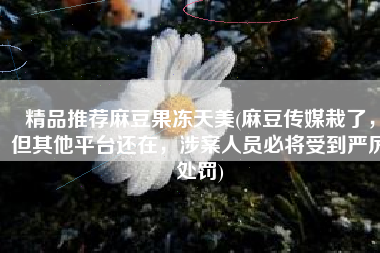 精品推荐麻豆果冻天美(麻豆传媒栽了，但其他平台还在，涉案人员必将受到严厉处罚)