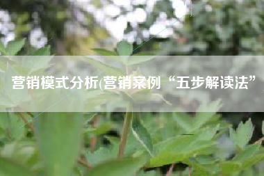 营销模式分析(营销案例“五步解读法”)