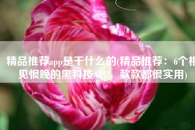 精品推荐app是干什么的(精品推荐：6个相见恨晚的黑科技APP，款款都很实用)