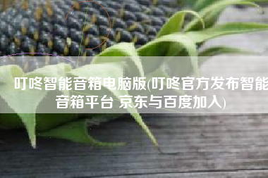叮咚智能音箱电脑版(叮咚官方发布智能音箱平台 京东与百度加入)