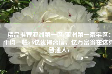 精品推荐亚洲第一区(亚洲第一豪宅区：平均一幢5.6亿贵得离谱，亿万富翁在这算普通人)