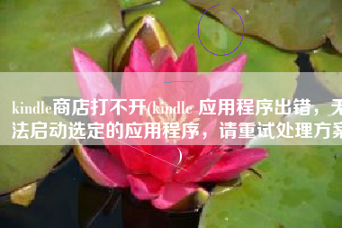 kindle商店打不开(kindle 应用程序出错，无法启动选定的应用程序，请重试处理方案)