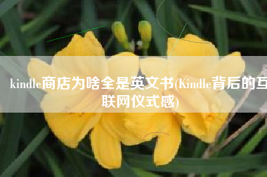 kindle商店为啥全是英文书(Kindle背后的互联网仪式感)