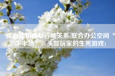 裸心社和裸心谷啥关系(联合办公空间“下半场”：头部玩家的生死游戏)