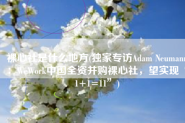 裸心社是什么地方(独家专访Adam Neumann：WeWork中国全资并购裸心社，望实现“1+1=11”)