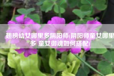 翅膀幼女哪里多阴阳师(阴阳师童女哪里多 童女御魂如何搭配)