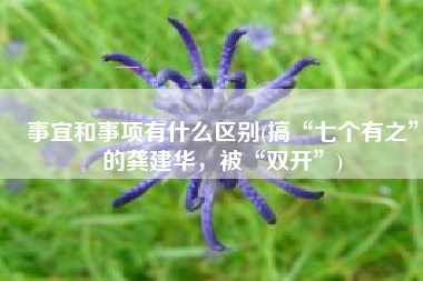 事宜和事项有什么区别(搞“七个有之”的龚建华，被“双开”)
