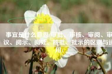 事宜是什么意思(审批、审核、审阅、审议、阅示、阅处、核批、批示的区别与适用)