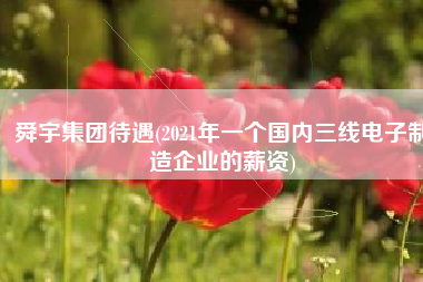 舜宇集团待遇(2021年一个国内三线电子制造企业的薪资)