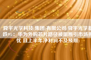 舜宇光学科技(集团)有限公司(舜宇光学暴跌9%：华为外购芯片路径被阻断引市场担忧 且上半年净利润不及预期)