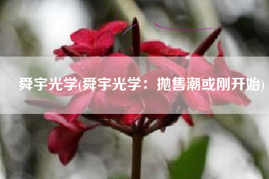 舜宇光学(舜宇光学：抛售潮或刚开始)