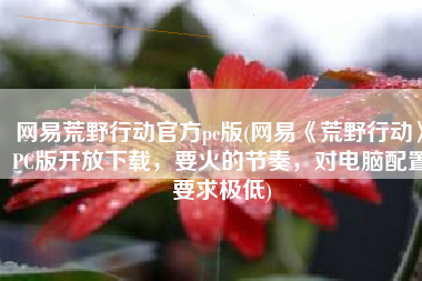 网易荒野行动官方pc版(网易《荒野行动》PC版开放下载，要火的节奏，对电脑配置要求极低)