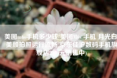 美图m6s手机多少钱(美图M6s 手机 月光白 美颜拍照运行流畅 京东佳沪数码手机旗舰店2199元销售中)