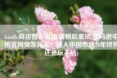 kindle商店暂不可用,请稍后重试(亚马逊中国官网突发异常：进入中国市场20年终究还是玩不转)