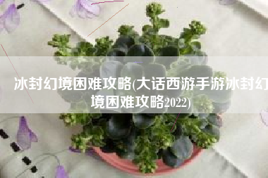 冰封幻境困难攻略(大话西游手游冰封幻境困难攻略2022)
