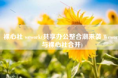 裸心社 wework(共享办公整合潮来袭 Wework与裸心社合并)