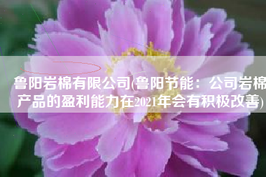 鲁阳岩棉有限公司(鲁阳节能：公司岩棉产品的盈利能力在2021年会有积极改善)