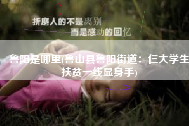 鲁阳是哪里(鲁山县鲁阳街道：仨大学生扶贫一线显身手)