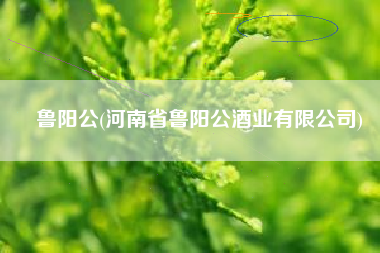 鲁阳公(河南省鲁阳公酒业有限公司)