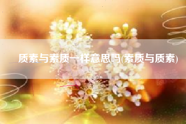 质素与素质一样意思吗(素质与质素)