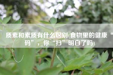 质素和素质有什么区别(食物里的健康“码”，你“扫”明白了吗)