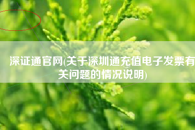 深证通官网(关于深圳通充值电子发票有关问题的情况说明)
