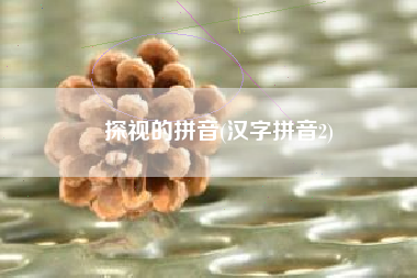 探视的拼音(汉字拼音2)