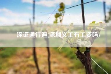 深证通待遇(深圳义工有工资吗)
