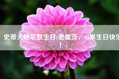 史蒂夫鲍尔默生日(老盖茨，91岁生日快乐！)