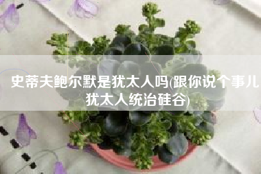 史蒂夫鲍尔默是犹太人吗(跟你说个事儿：犹太人统治硅谷)