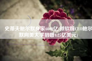 史蒂夫鲍尔默身家6000亿(微软前CEO鲍尔默向美大学捐赠4.25亿美元)