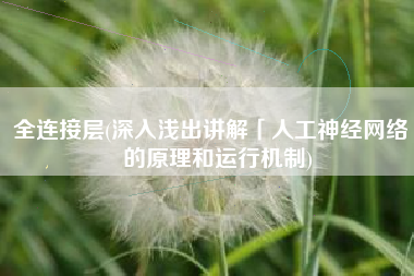 全连接层(深入浅出讲解「人工神经网络」的原理和运行机制)