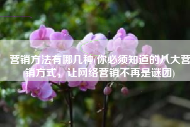 营销方法有哪几种(你必须知道的八大营销方式，让网络营销不再是谜团)